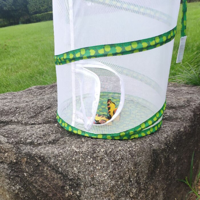 Cage à insectes pliable pour élevage de papillons - Image 4