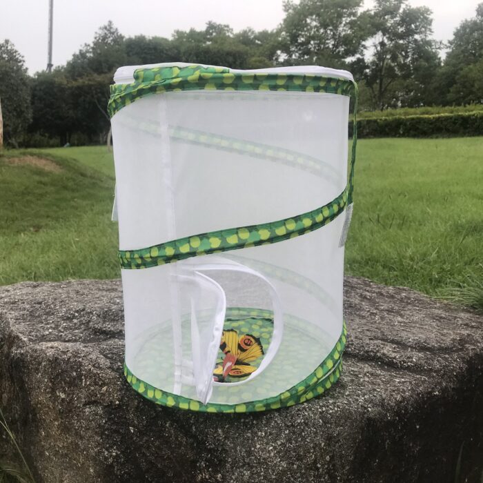Cage à insectes pliable pour élevage de papillons - Image 2